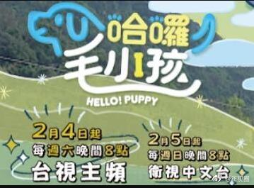 哈啰！毛小孩