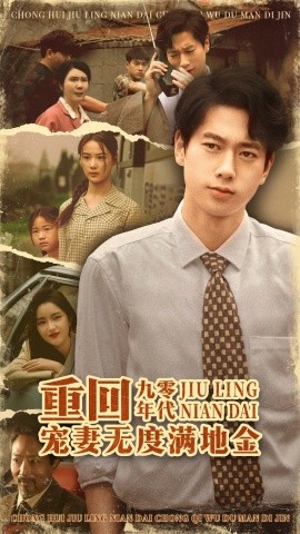 重回九零年代，寵妻無度滿地金